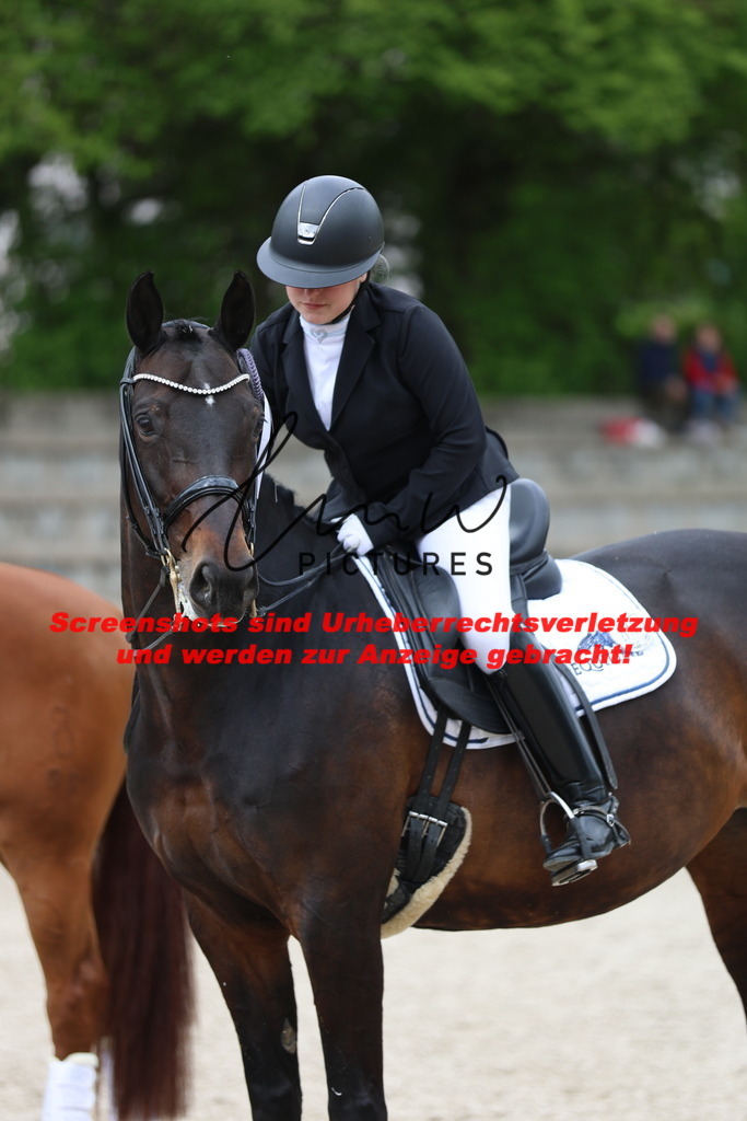 A40A4425 | lmwpictures - Realisiert mit Pictrs.com