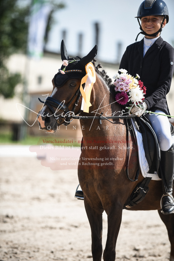 DSC_8760 | Pferde- und Turnierfotografie in Westsachsen. Pferdeportraits, Auftragszeichnungen und intuitive Kunst.
