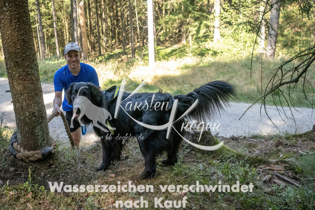 1217_ZZ93852 | kk-dogfotos