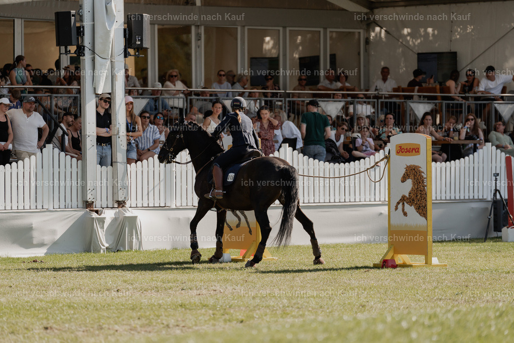 WE_MOS_Stoib_315_PI2025_2362 | Pferd International München 2025
