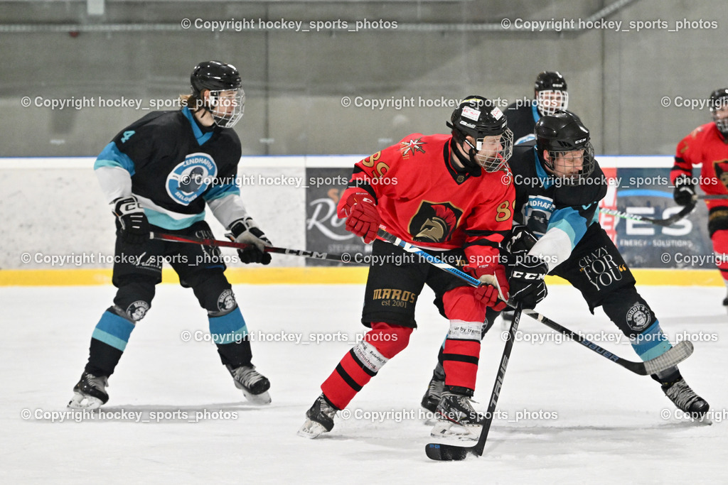 Lendhafen Seelöwen vs. Spartans Althofen | #4 Kompain Mark Lendhafen Seelöwen, #89 Pirmann Markus Spartans Althofen, #55 Widnig David Lendhafen Seelöwen, Lendhafen Seelöwen vs. Spartans Althofen, Lendhafen Seelöwen vs. Spartans Althofen am 14.02.2025 in Ferlach (HTC Eishalle Ferlach), Austria, (Photo by Bernd Stefan)