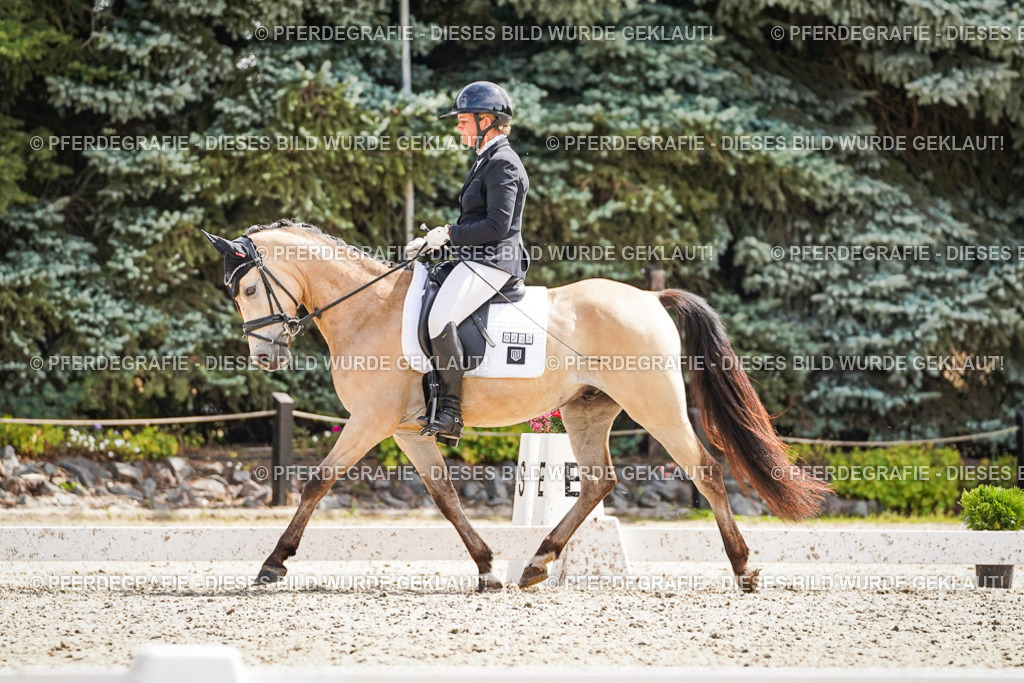 DSC09410 | Pferdegrafie