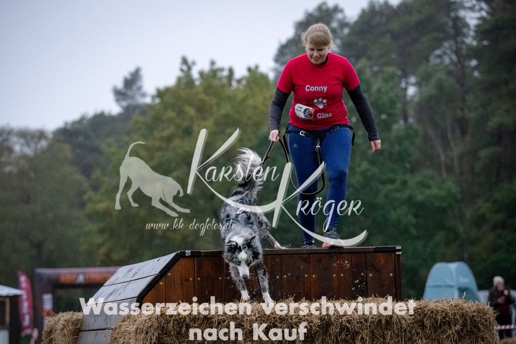 0817-_ZZ90882-Bearbeitet-Bearbeitet | kk-dogfotos