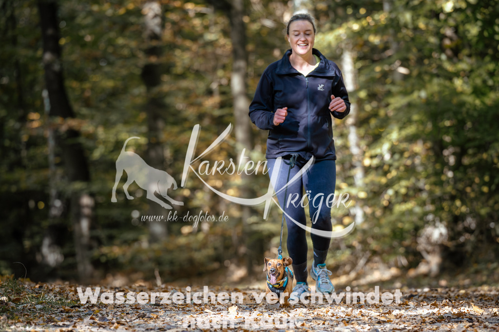 1246_ZZ96099 | kk-dogfotos