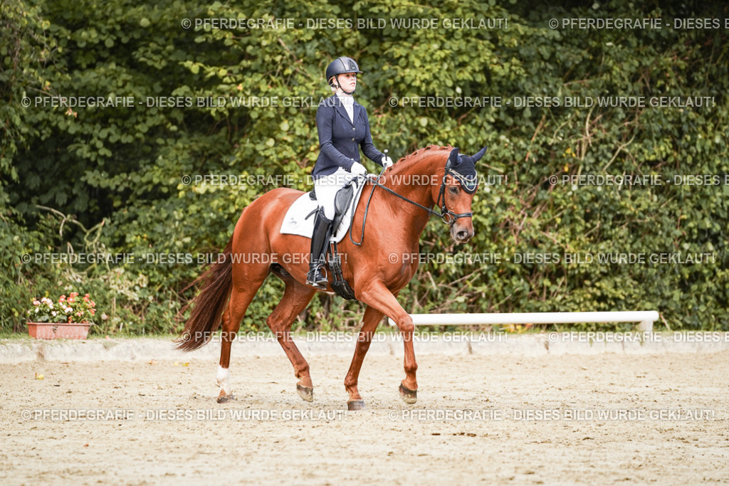 DSC02656 | Pferdegrafie