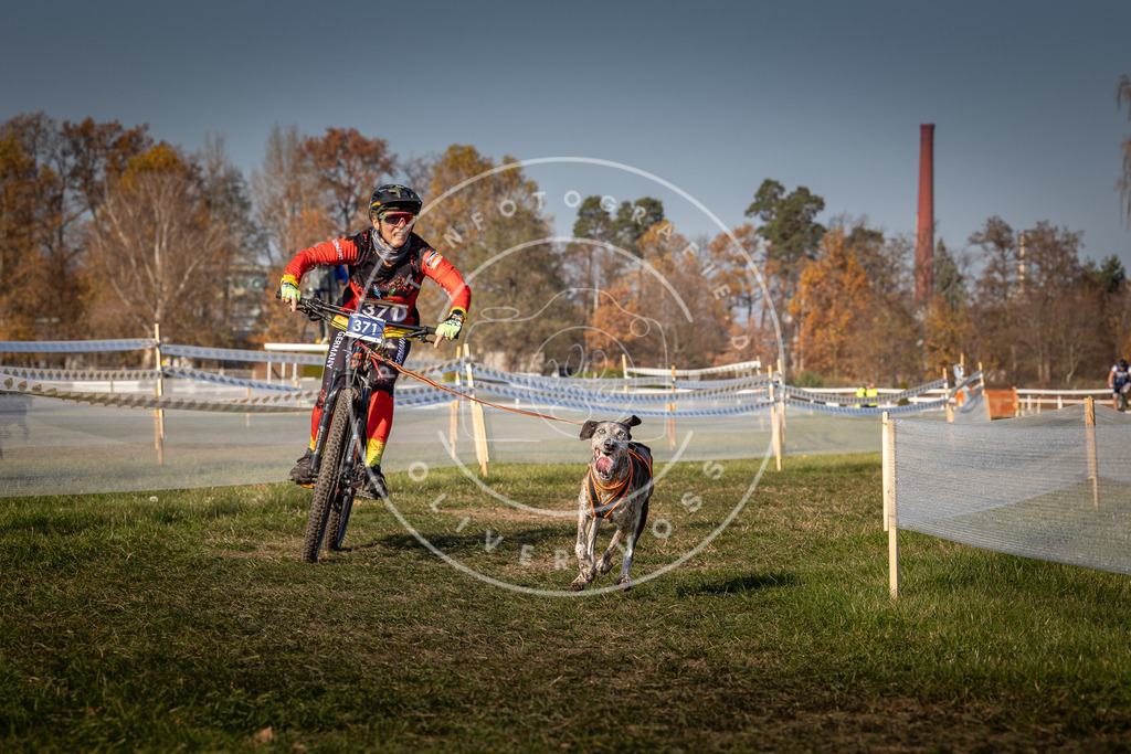 CaniXpix_0L8A7876 | Hundefotografie, Tierfotograf, Pfotenfotografie, Fotoshooting Hund, Hunde Portrait, Hundesport, Hundeportraits, Heideshooting, Hunde, Sportfotograf, Hundefotograf, Turnierhundsport, THS,  - Realisiert mit Pictrs.com