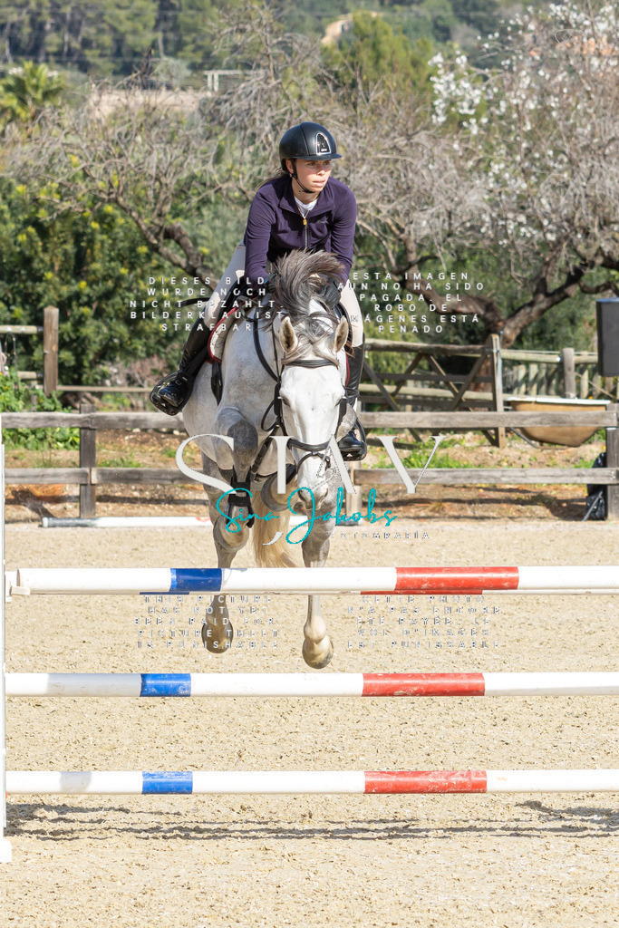 IMG_4380 | s-jay-photography - Realized with Pictrs.com