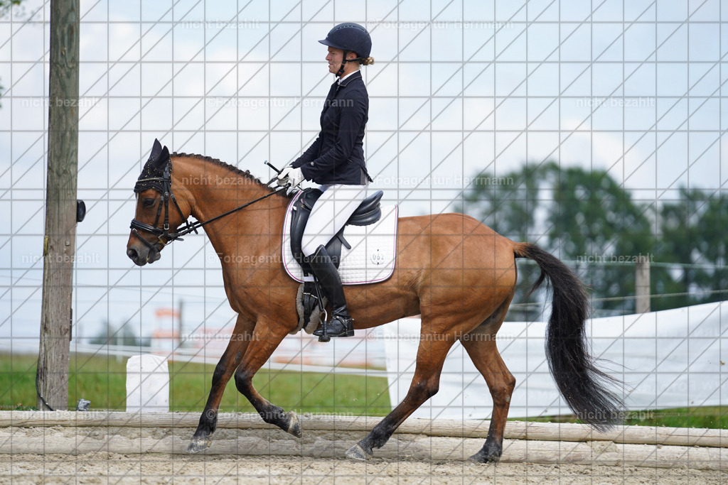 20230826-FAH05410 | Forstinning, 2023, Dressurturnier, Turniersportbilder, Turnierfotografen Bayern, Fotoagentur Herrmann, Reitsportfotografie, Turnierbilder