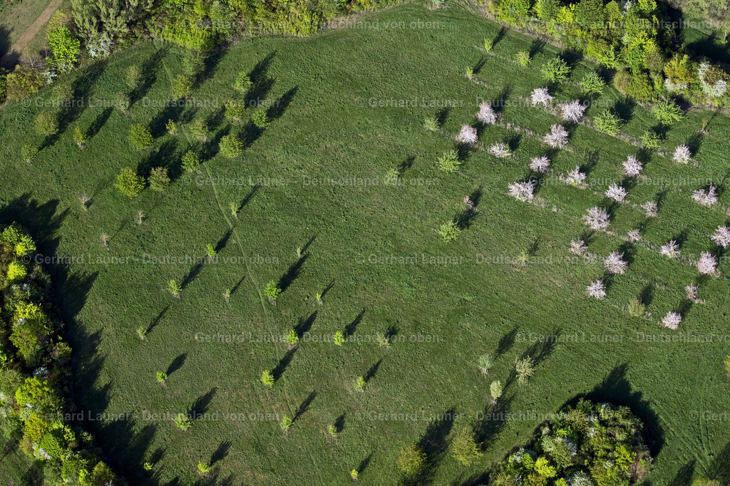 4026037 | ERFURT 06.05.2020 Grasflächen- Strukturen einer Feld- und Wiesen- Landschaft an der Rudolstädter Straße - Eisenberger Straße im Ortsteil Dittelstedt in Erfurt im Bundesland Thüringen, Deutschland. // Structures of a field landscape on Rudolstaedter Strasse - Eisenberger Strasse in the district Dittelstedt in Erfurt in the state Thuringia, Germany. Foto: Gerhard Launer