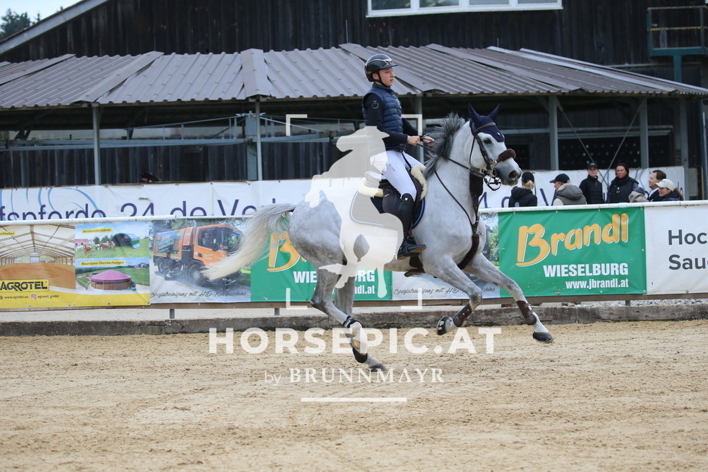 DL2Q3412 | Willkommen bei Brunnmayr - Design & Fotografie – Ihrem Spezialisten für Reitturniere und Pferdeveranstaltungen in Oberösterreich, Salzburg und Bayern! Seit über 17 Jahren sind wir leidenschaftlich dabei.