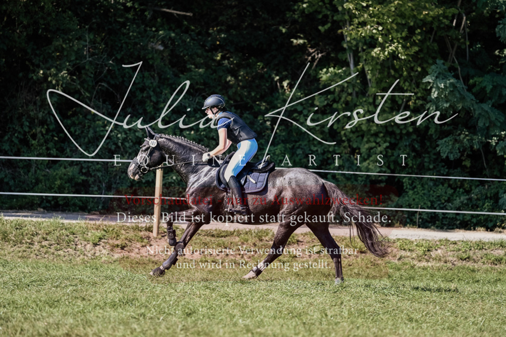 DSC_3575 | Pferde- und Turnierfotografie in Westsachsen. Pferdeportraits, Auftragszeichnungen und intuitive Kunst.