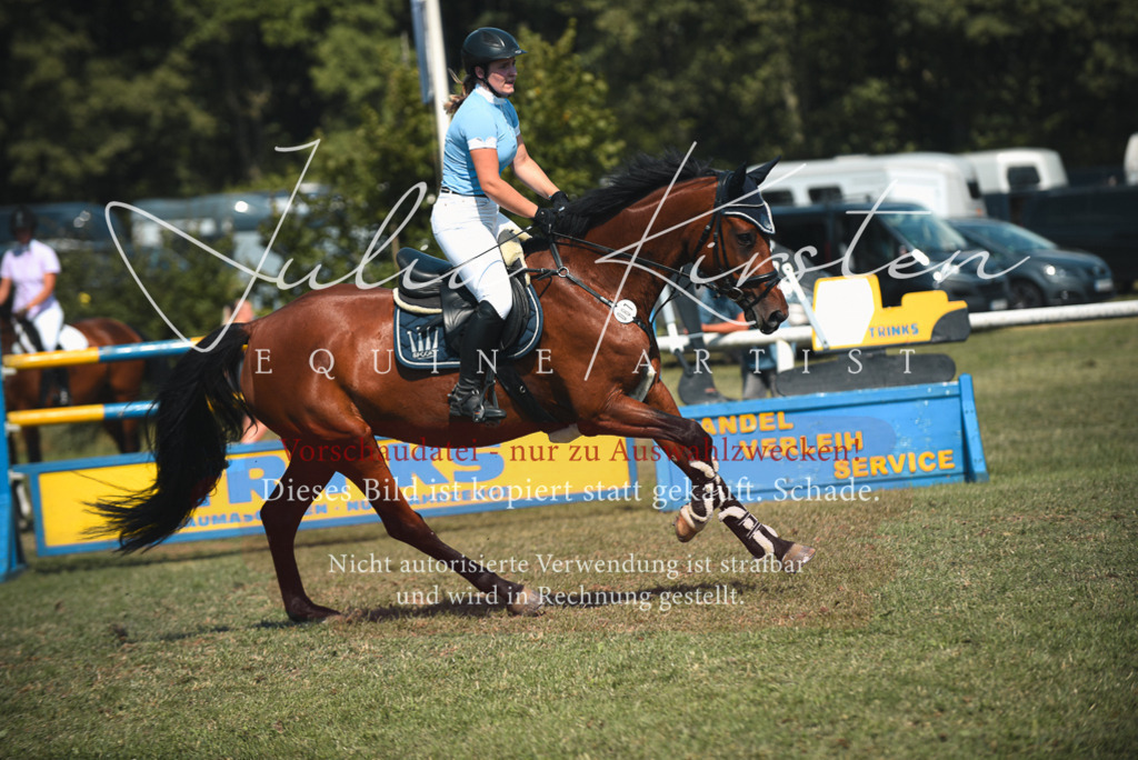 DSC_7149 | Pferde- und Turnierfotografie in Westsachsen. Pferdeportraits, Auftragszeichnungen und intuitive Kunst.