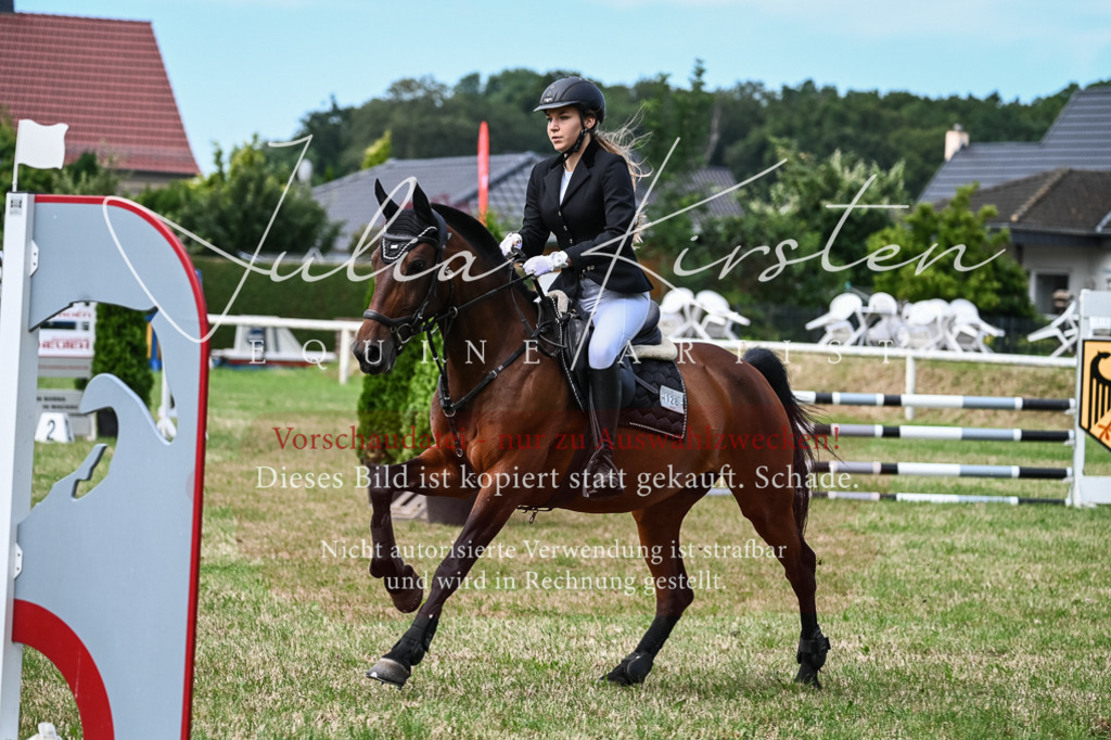 DSC_8663 | Pferde- und Turnierfotografie in Westsachsen. Pferdeportraits, Auftragszeichnungen und intuitive Kunst.