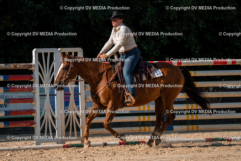 ZH100793 | dv-media-shop - Realisiert mit Pictrs.com