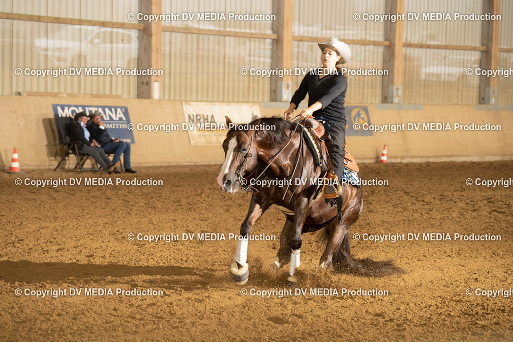 LAU00427 | dv-media-shop - Realisiert mit Pictrs.com