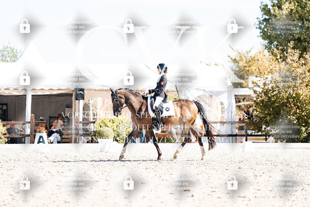 CK909644 | Turnierfotografie Pferdefotografie Trier Rheinland-Pfalz Pferdesport Reitsport Tierfotografie Sportfotografie Pferdevideo Pferdevideografie Equestrianvideography equestrianphotography  - Realisiert mit Pictrs.com