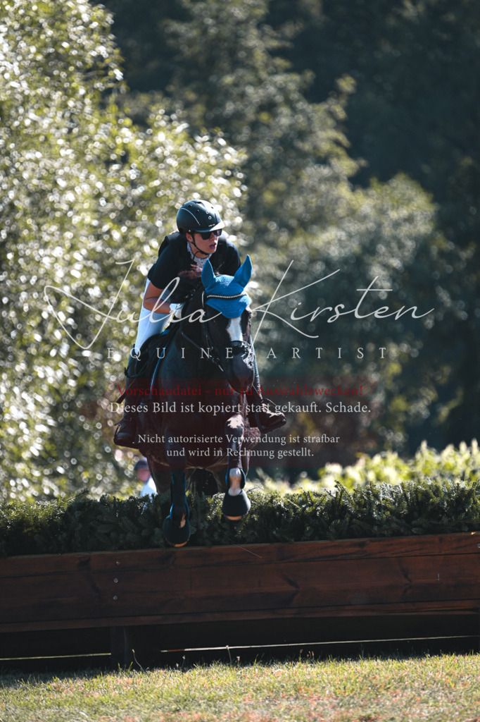 DSC_8115 | Pferde- und Turnierfotografie in Westsachsen. Pferdeportraits, Auftragszeichnungen und intuitive Kunst.
