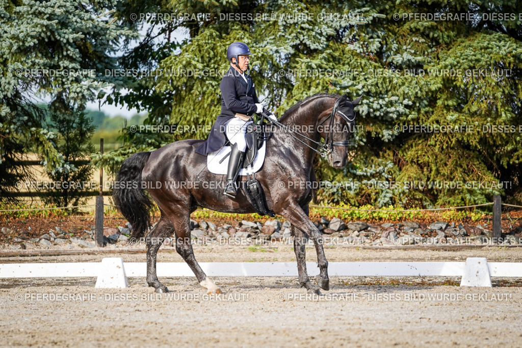 DSC00501 | Pferdegrafie