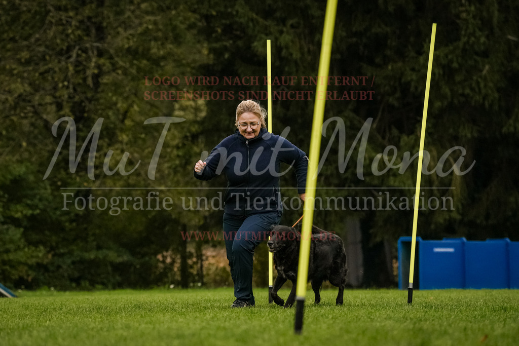 20251005_THS_Turnier-518 | MuT (Mensch und Tier) mit Mona - Fotografie und Tierkommunikation - Realisiert mit Pictrs.com