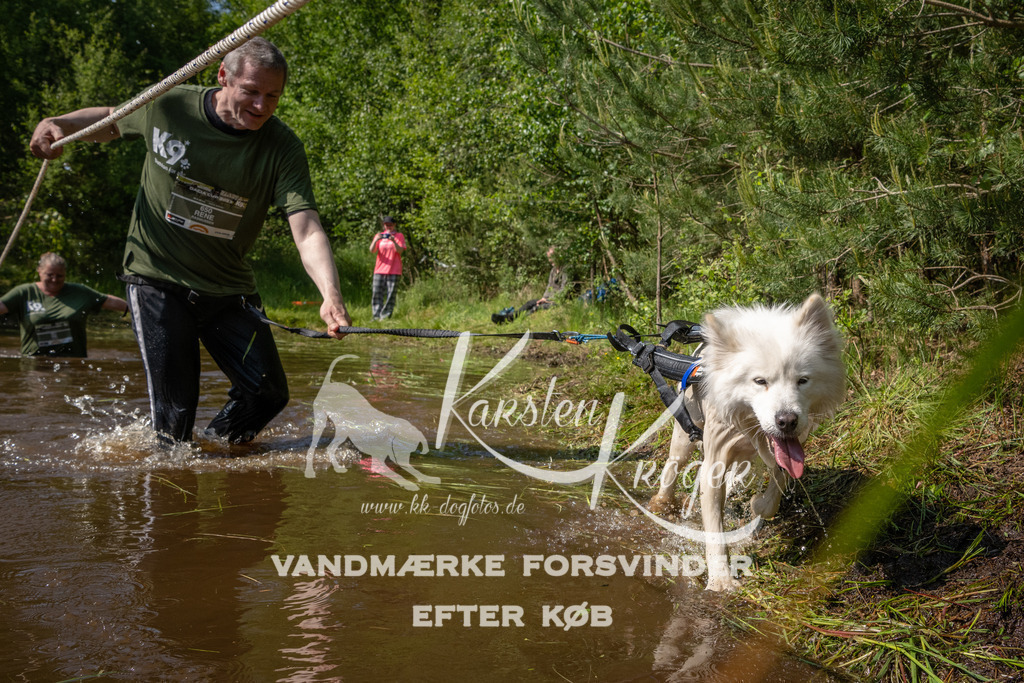 1615DKK993800 | kk-dogfotos