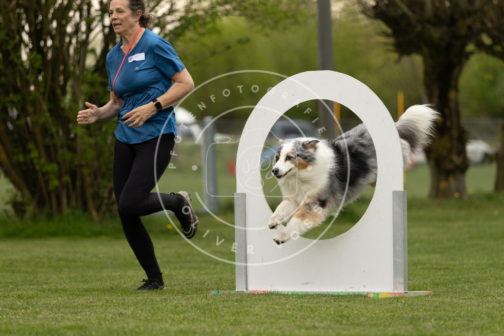 Pfotenfotografie_DV3A9288 | Hundefotografie, Tierfotograf, Pfotenfotografie, Fotoshooting Hund, Hunde Portrait, Hundesport, Hundeportraits, Heideshooting, Hunde, Sportfotograf, Hundefotograf, Turnierhundsport, THS,  - Realisiert mit Pictrs.com