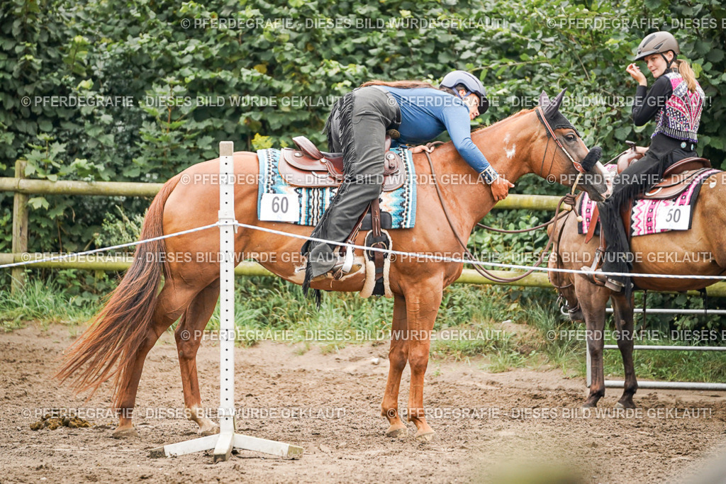 DSC02644 | Pferdegrafie