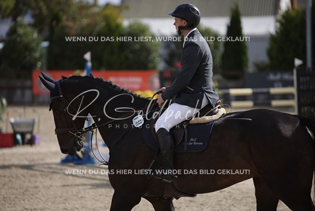 1J2A7729Cedric Becat_ Bismarck von der Streem_ Kn058_ Havekost | Foto- und Videografie für alles rund ums Pferd. Hochwertige Bilder und Videos vom Spring- und Dressurreiten, Voltigieren & mehr. Jetzt aktuelle Veranstaltungen und Preise im Shop ansehen. - Realisiert mit Pictrs.com