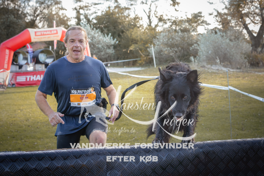 1218_ZZ95349 | kk-dogfotos