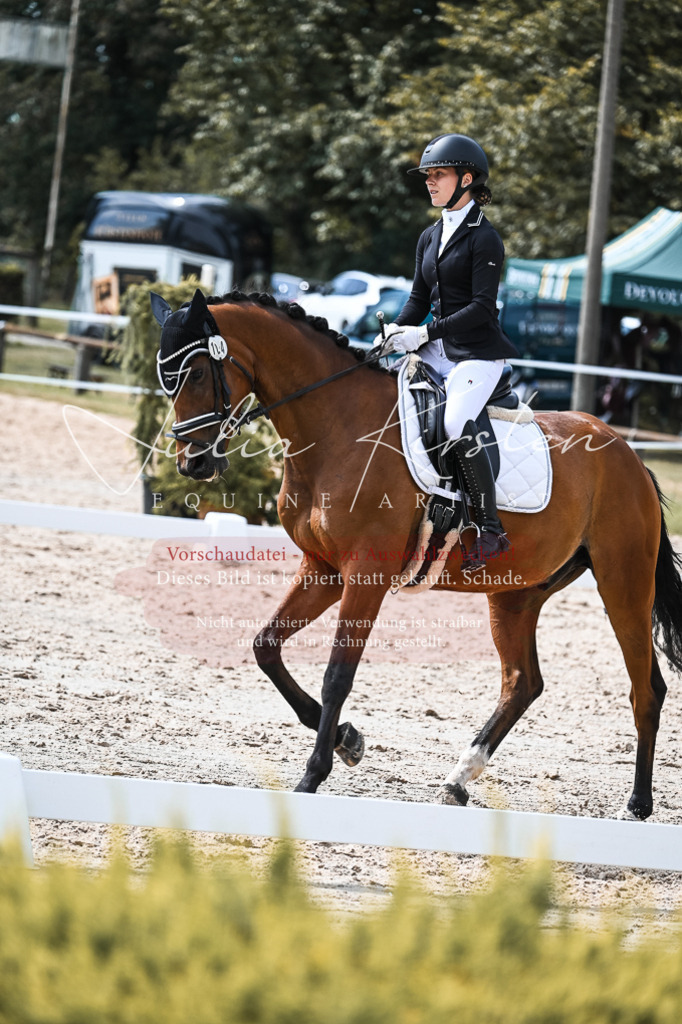DSC_5147 | Pferde- und Turnierfotografie in Westsachsen. Pferdeportraits, Auftragszeichnungen und intuitive Kunst.