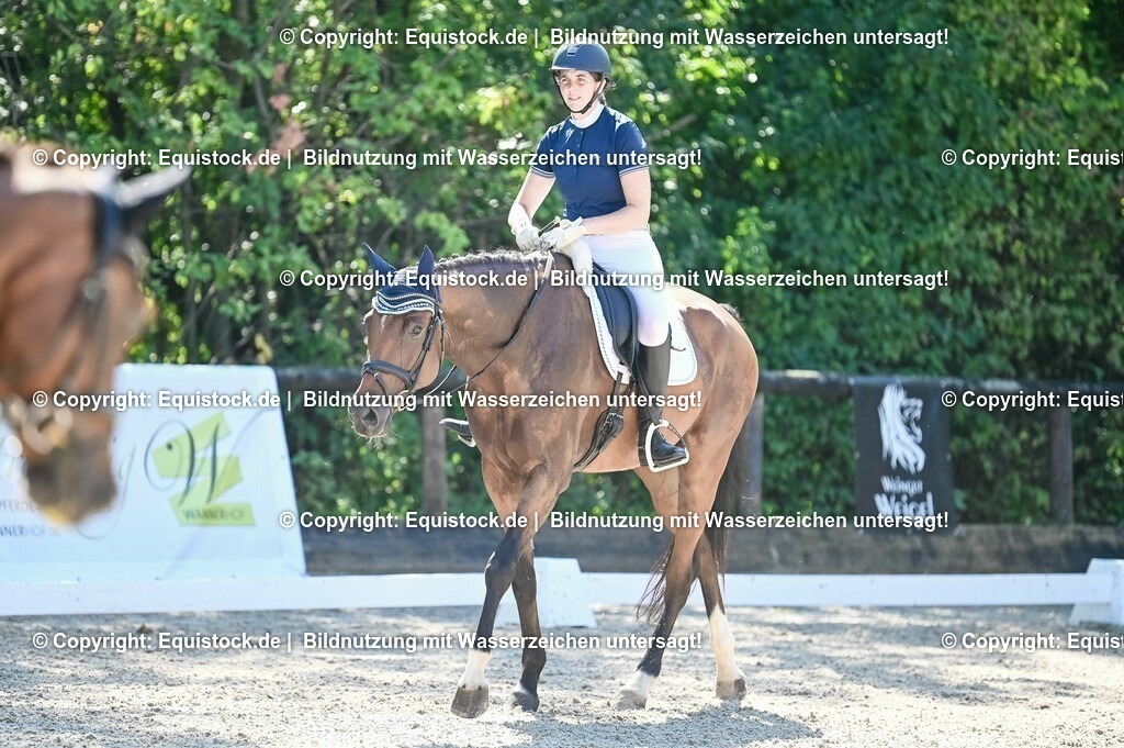 20230908_06_Dressur-L-Trense_0242 | equistock