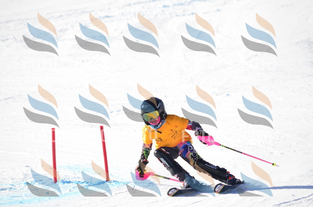 C5811 | holidayphoto