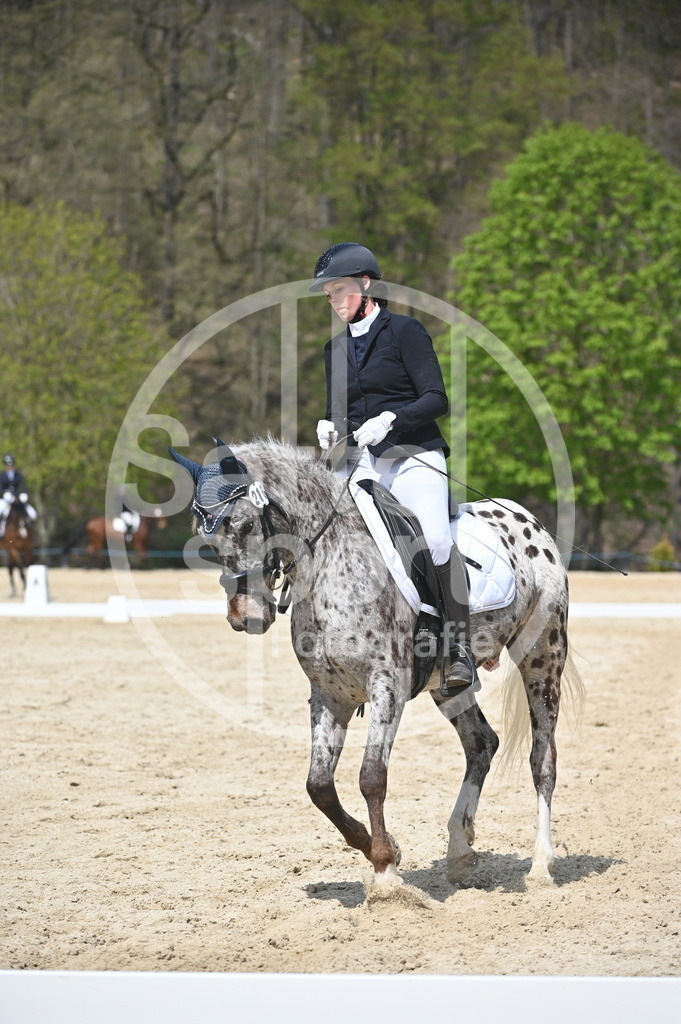 DSC_2302 | sattelsport - Realisiert mit Pictrs.com