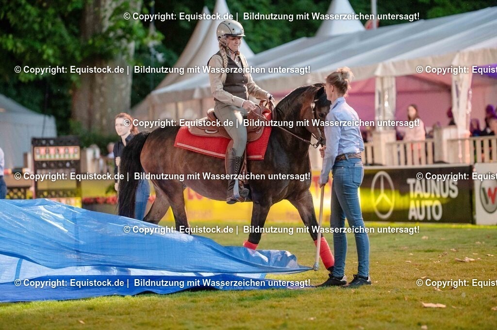 20250606_Lange-Pferdenacht_0993 | Foto: Thomas Hartig