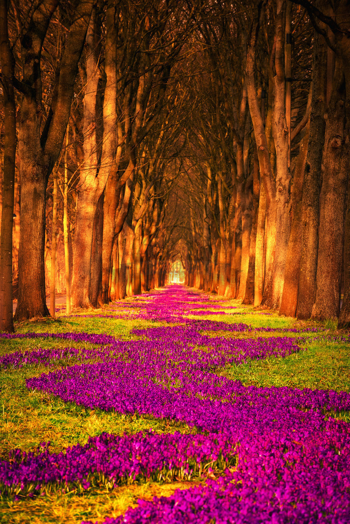 stativkunst-758 | Exklusive Hamburg collagen, tolle Segelbilder und viele weitere tolle Motive auf Leinwand, Poster, Alu-Dibond, u.v.m. findet Ihr bei uns auf hamburgbild.de. Findet Euer Wandbild für Euer Zuhause, Büro oder die  Praxis…. - Realisiert mit Pictrs.com