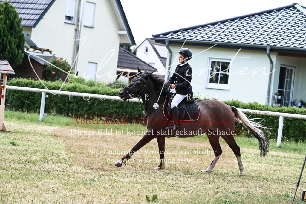 DSC_9761 | Pferde- und Turnierfotografie in Westsachsen. Pferdeportraits, Auftragszeichnungen und intuitive Kunst.