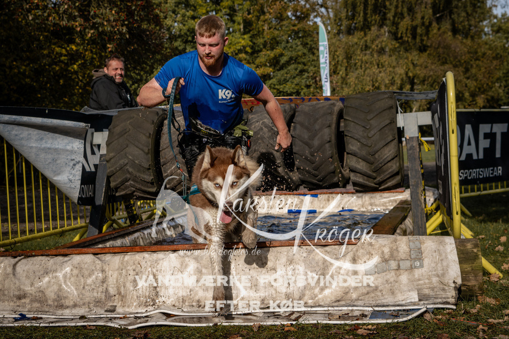 1346_ZZ92953 | kk-dogfotos