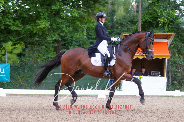 DKP41364 | Turniersportfotografie; Pferdefotografie; Dressurfotografie