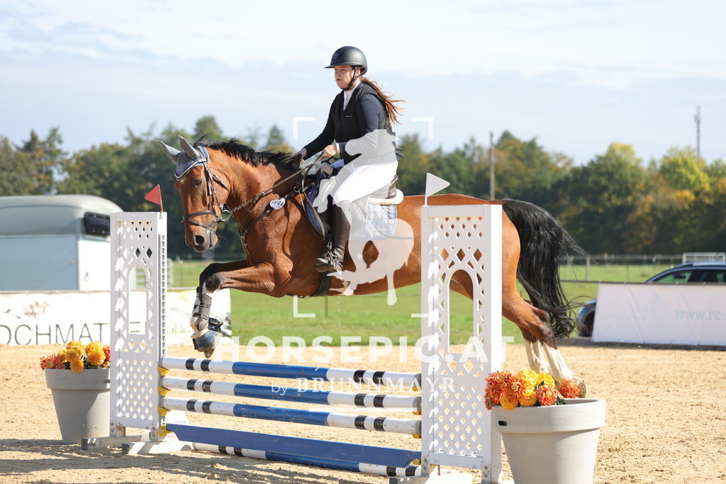 0P6A8364 | Willkommen bei Brunnmayr - Design & Fotografie – Ihrem Spezialisten für Reitturniere und Pferdeveranstaltungen in Oberösterreich, Salzburg und Bayern! Seit über 17 Jahren sind wir leidenschaftlich dabei.