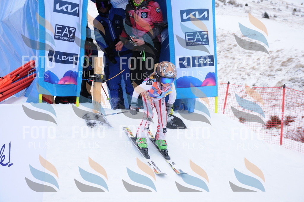 DSC_7953 | holidayphoto