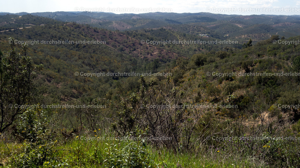 Blick bei Barrigões in die einsame Serra do Caldeirão | Blick bei Barrigões in die einsame Serra do Caldeirão, Algarve - Realisiert mit Pictrs.com