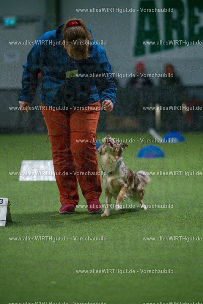 7R500322 | Professionelle Tierfotografie in Mönchengladbach von Daniel Wirth (allesWIRTHgut). Liebevolle & natürliche Bilder von Hunden & Katzen für unvergessliche Erinnerungen.