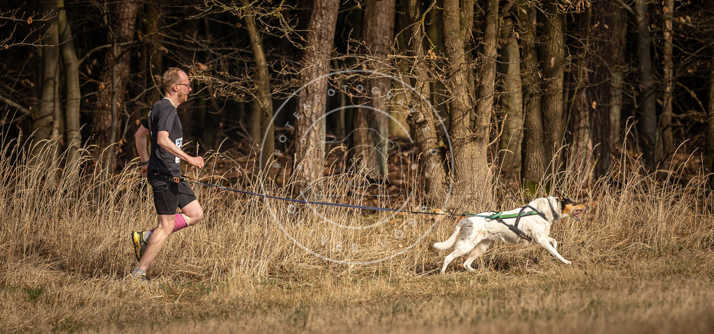 DV3A3828 | Hundefotografie, Tierfotograf, Pfotenfotografie, Fotoshooting Hund, Hunde Portrait, Hundesport, Hundeportraits, Heideshooting, Hunde, Sportfotograf, Hundefotograf, Turnierhundsport, THS,  - Realisiert mit Pictrs.com