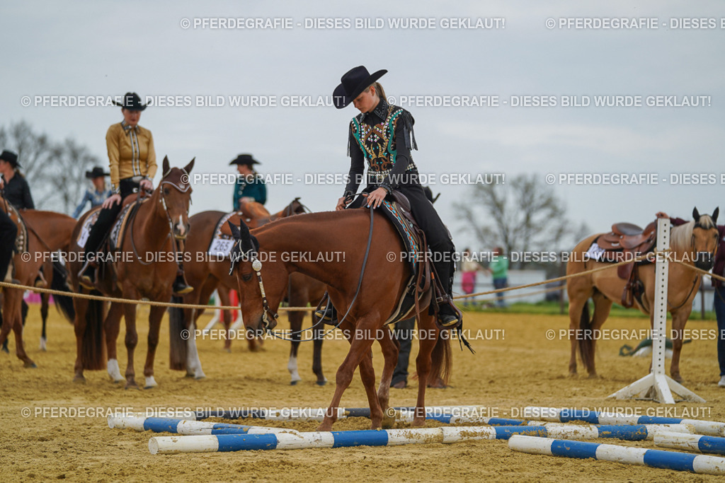 DSC02696 | Pferdegrafie