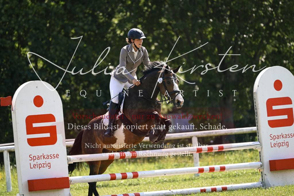 DSC_8925 | Pferde- und Turnierfotografie in Westsachsen. Pferdeportraits, Auftragszeichnungen und intuitive Kunst.