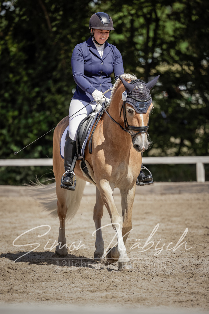 20250906-_3LI5335 | Tierfotografie Pferde, Hunde, Katzen, Haustiere.
Turnierfotografie Reitturniere, Reiten, Springreiten, Dressur in Hanau, dem Main-Kinzig-Kreis und dem Rhein-Main- Gebiet um Frankfurt