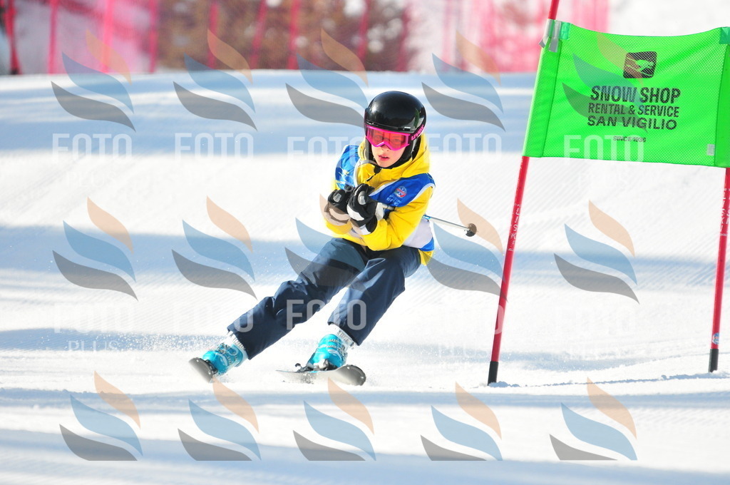 B8793 | holidayphoto