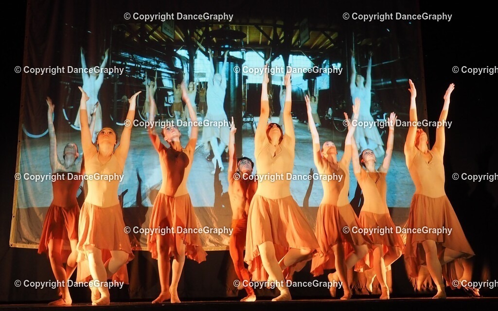 P1010978 | OLYMPUS DIGITAL CAMERA - Realisiert mit Pictrs.com