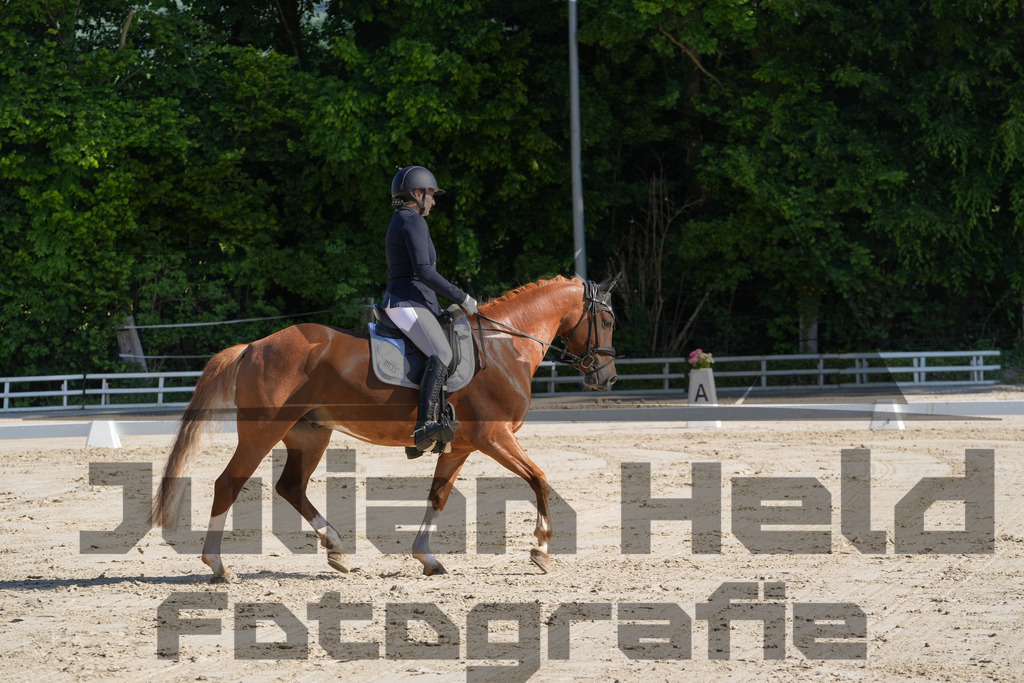 DSC02864 | Julian Held Fotografie - Realisiert mit Pictrs.com