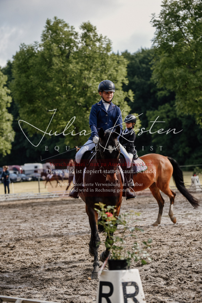 DSC_9142 | Pferde- und Turnierfotografie in Westsachsen. Pferdeportraits, Auftragszeichnungen und intuitive Kunst.