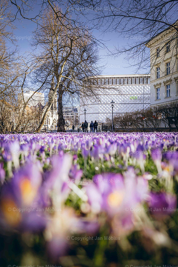 _DSC3556 | Leipzig Wandbilder Drucke Prints Leinwand Stadtmotive Leipzig Fotosdruck Kunstdrucke Bilder Leipzig Stadtansichten Acrylglasbilder Leipzig Wanddeko Fine Art Prints Wandbilder Büro Leipzig Bilder Praxis Zuhause Bilderdruck Poster Posterlounge Kunstdrucke - Realisiert mit Pictrs.com